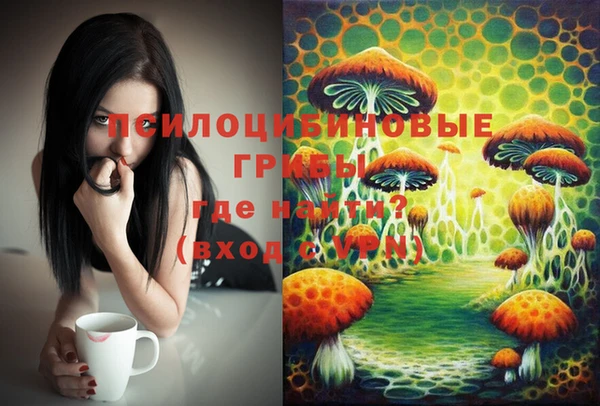 не бодяженный Аркадак