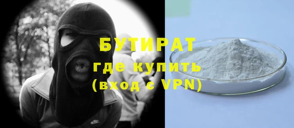 крисы Бородино