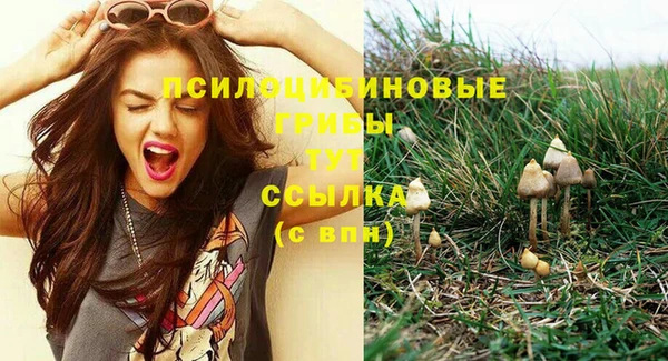 прущие крисы Арсеньев