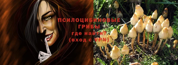 не бодяженный Аркадак