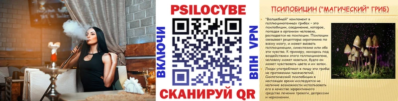 Псилоцибиновые грибы Magic Shrooms  как найти   блэк спрут ТОР  Выкса 